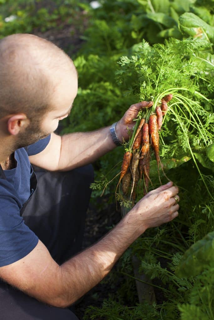 Barton House chef Tom Sherry holding carrots